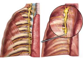 Як лікувати невралгію в домашніх умовах: поради, які дійсно допомагають