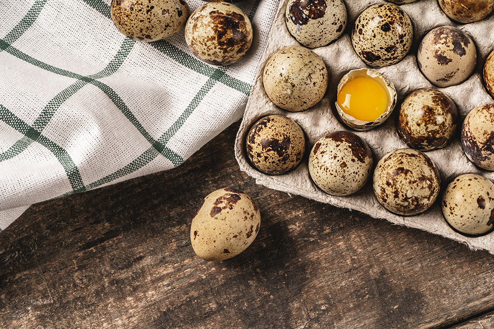 Перепелиные яйца: в чем их подлинная польза?